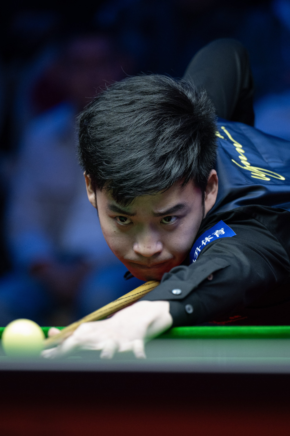 今年不仅是 今年不仅是